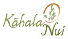 CNA Training Academy of Hawaii